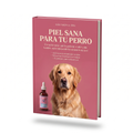 E-book