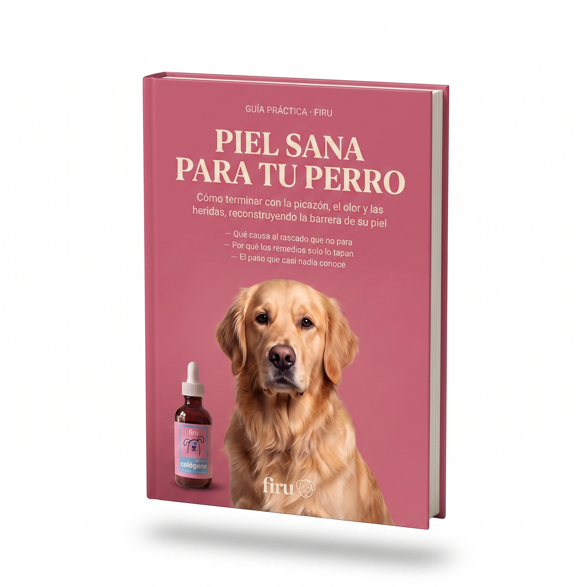 E-book