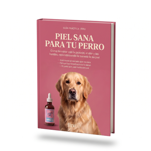 E-book
